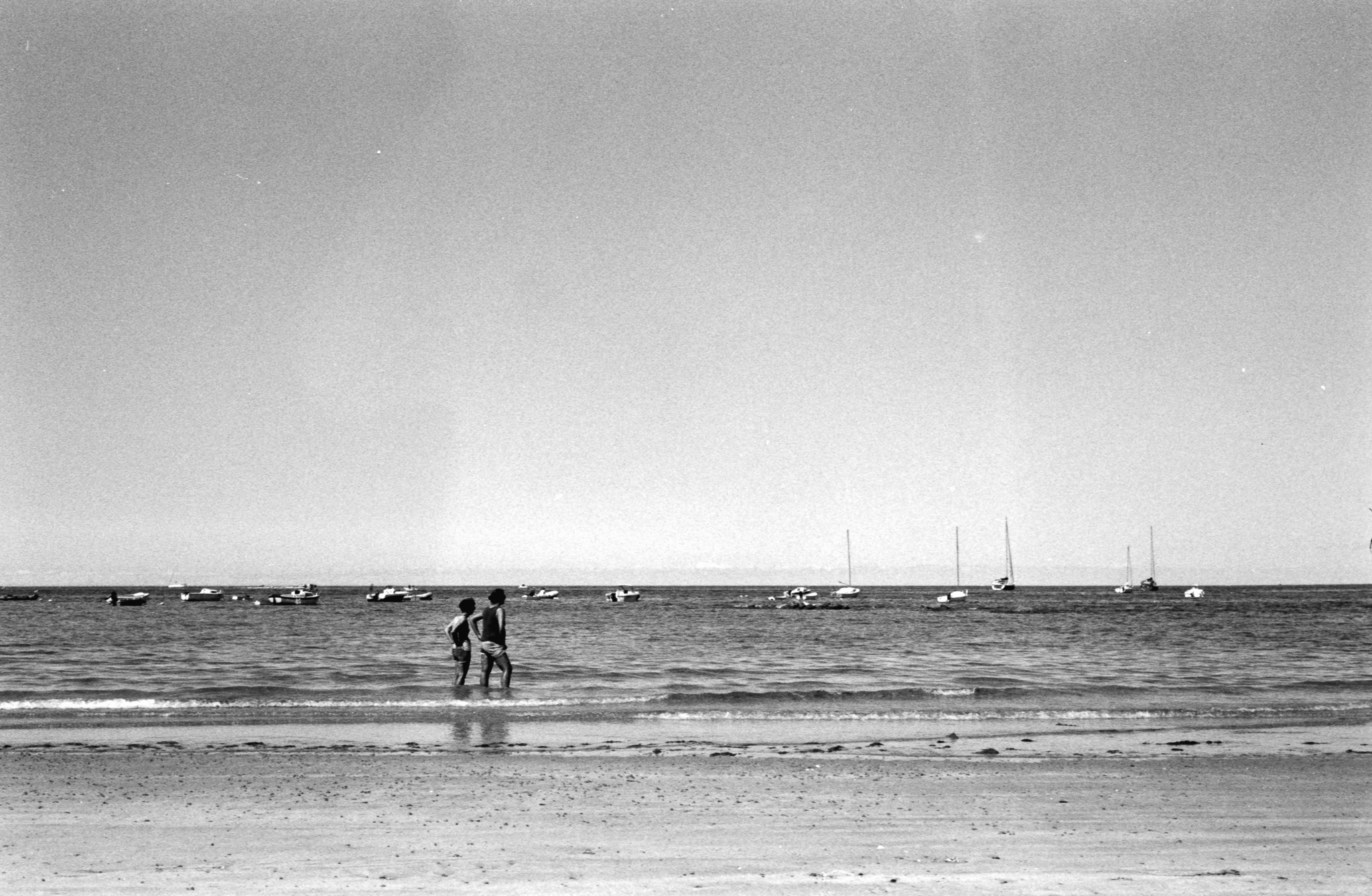 Silhouettes in the shallow sea